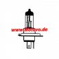 Preview: Hauptscheinwerferlampe 12V60/55W