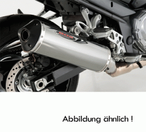 BOS Desert Fox,  Slip/On EG, Stainless für BMW R 1200 GS/ Adventure Bj. 13-16