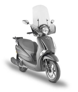 Montagekit für Givi Windschild 2154A für Yamaha D elight 125 (2021-2025)