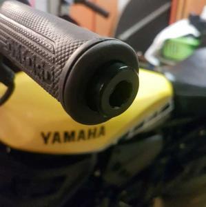 1 Paar Daytona Lenkergewichte "Scratch"