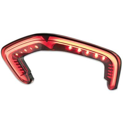 LED-Rücklicht Ducati Panigale V4/R/S,  V2 18-23