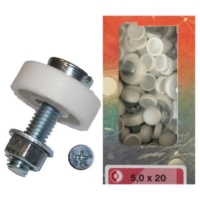 Nummernschildschrauben-Set "M5 x 20"