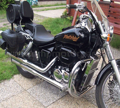 Sturzbügel im H.D. Style Honda VT 750 DC Black Widow